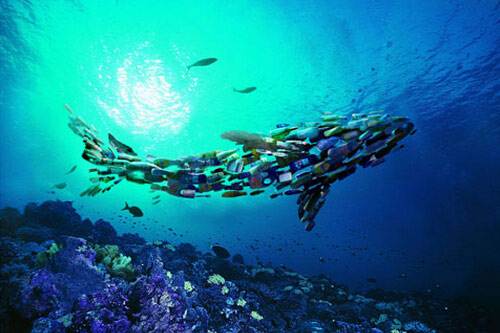 凈水器能過濾微型塑料嗎？